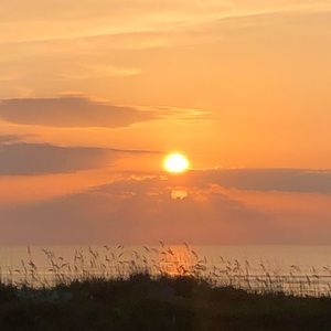 Meet your Posher, Hayley